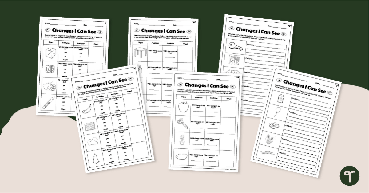 Changes I Can See Worksheet Pack (Differentiated) teaching resource