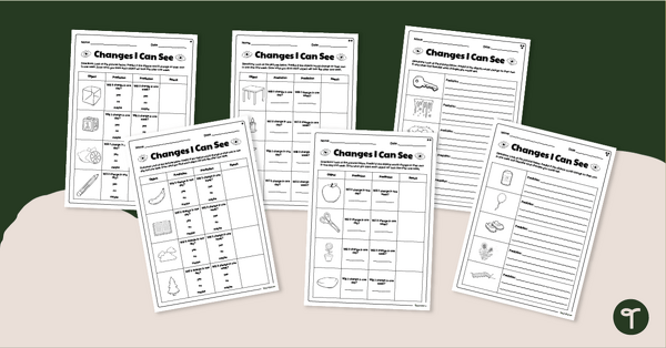 Go to Changes I Can See Worksheet Pack (Differentiated) teaching resource
