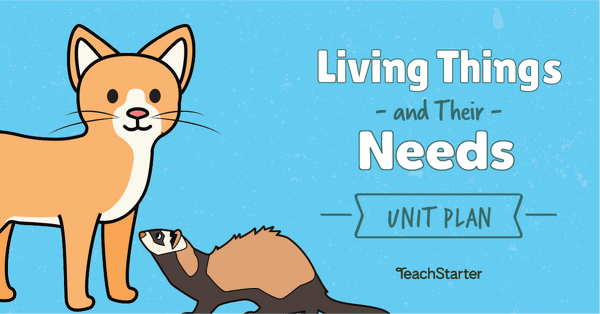 Go to Living Things Need Food lesson plan