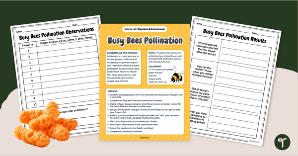 Go to Busy Bees Pollinator Activity - Hands-On Science teaching resource