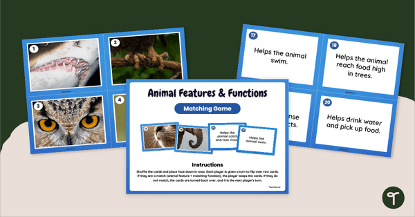 Go to Animal Features and Functions Matching Activity teaching resource