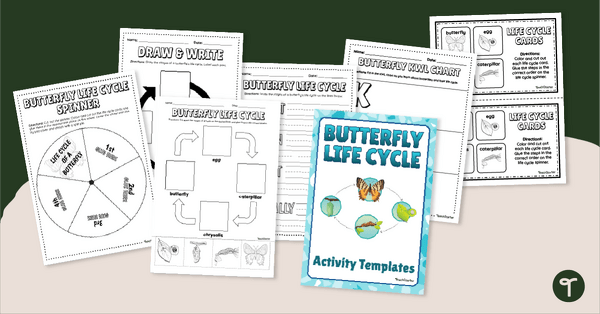 Go to Butterfly Life Cycle Worksheet Pack teaching resource