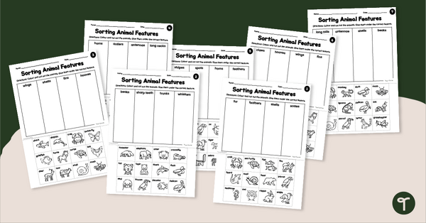 Go to Sorting Animals Worksheet Pack - External Features teaching resource