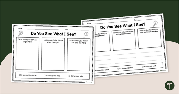 Go to Do You See What I See? Observation Activity Sheets teaching resource