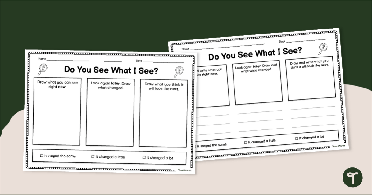 Do You See What I See? Observation Activity Sheets teaching resource