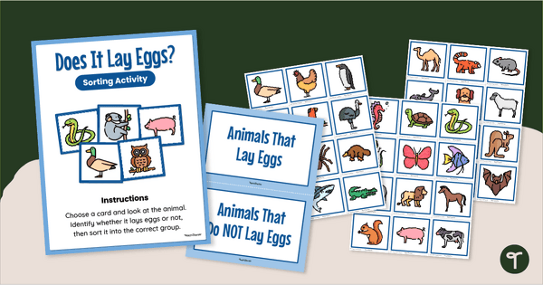 Go to Does It Lay Eggs? Classifying Animals Game teaching resource