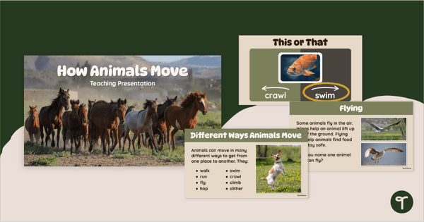 Go to How Animals Move PowerPoint Presentation teaching resource