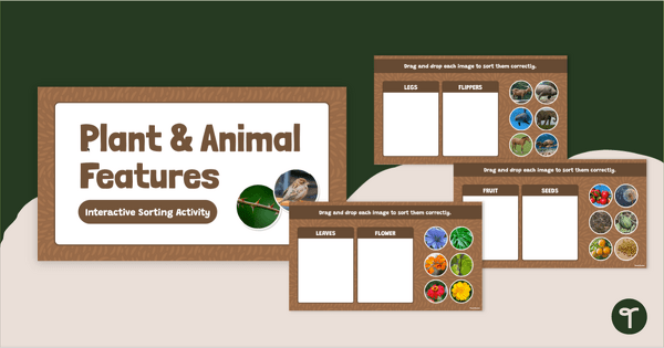 Go to Interactive Plant and Animal Sorting Game - External Features teaching resource