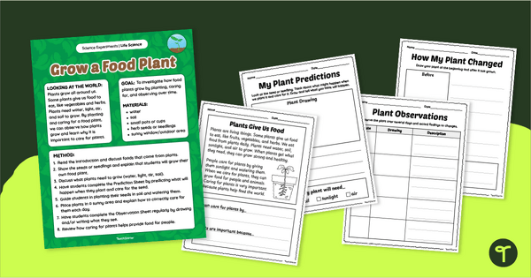Go to Food Plant Growth Experiment (1-2) teaching resource