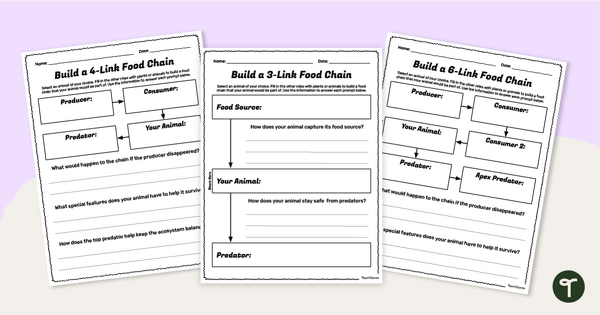 Go to Build a Food Chain Worksheet Pack teaching resource