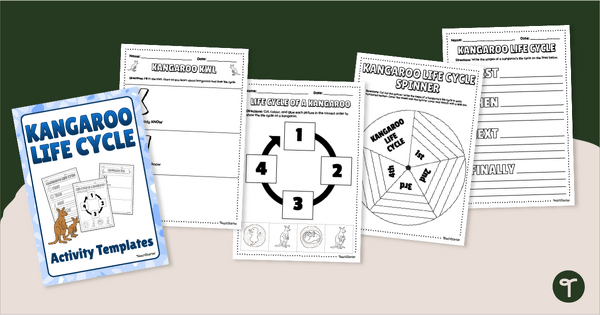 Go to Kangaroo Life Cycle Worksheets teaching resource