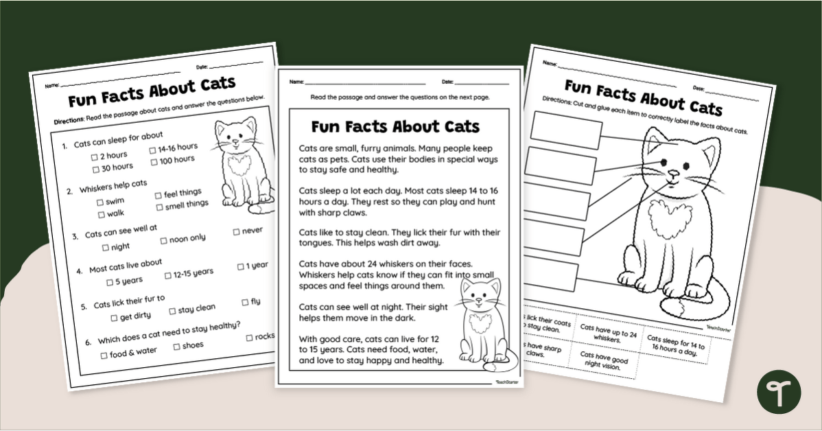 All About Cats - 1st Grade Reading Comprehension Passage teaching resource