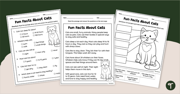 Go to All About Cats - 1st Grade Reading Comprehension Passage teaching resource