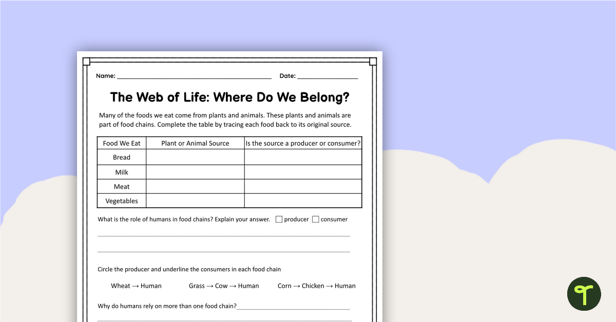 Where Do We Belong? Humans in Food Chains Worksheet teaching resource