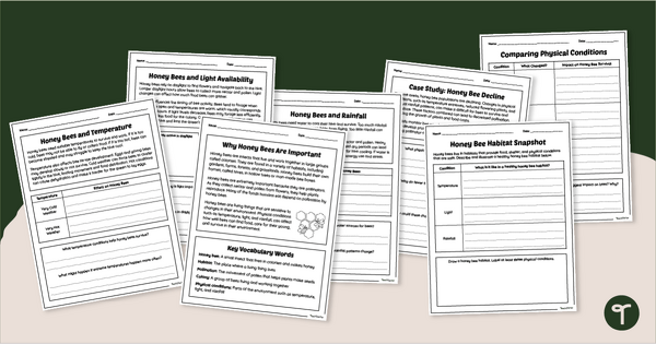 Go to Honeybees vs. Environmental Change Worksheet Pack teaching resource