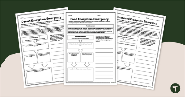 Go to Investigating Food Chain Disruptions Worksheet Pack teaching resource