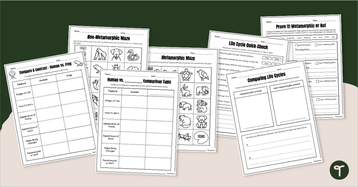 Metamorphic or Not? Worksheets teaching resource