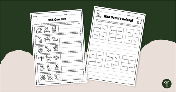 Go to Odd One Out - Animal Classification Handouts (Life Cycles) teaching resource
