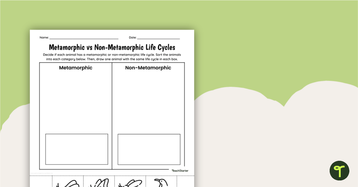 Metamorphic vs. Non-Metamorphic Life Cycles Worksheet - Cut and Paste teaching resource