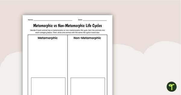Go to Metamorphic vs. Non-Metamorphic Life Cycles Worksheet - Cut and Paste teaching resource