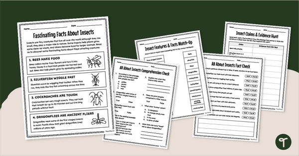 Go to All About Insects - Reading Comprehension Worksheet Pack (3-4) teaching resource