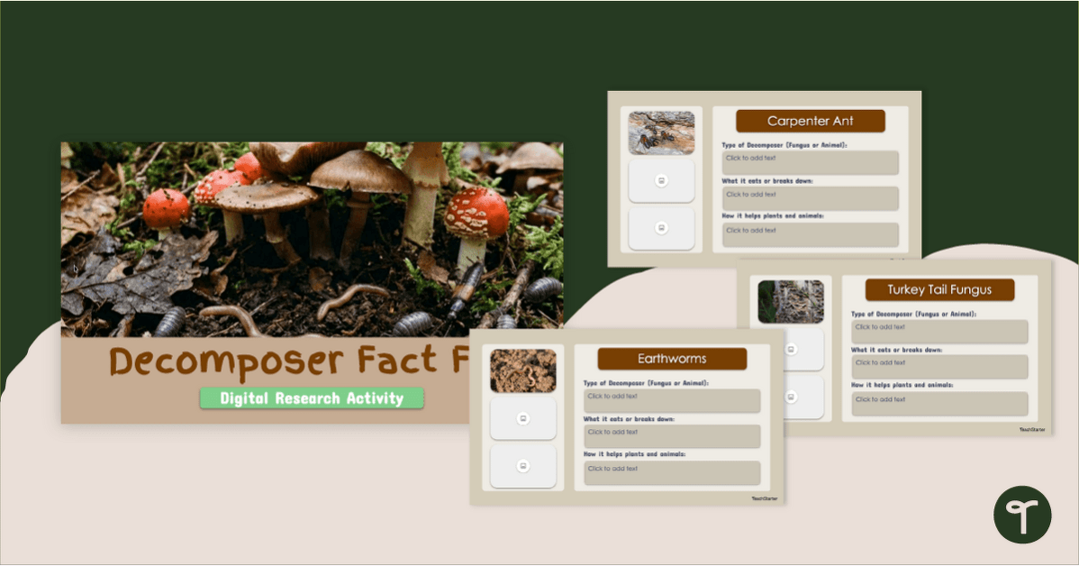 All About Decomposers Activity Deck - Digital Interactive Notebook teaching resource