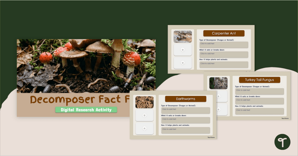 Go to All About Decomposers Activity Deck - Digital Interactive Notebook teaching resource