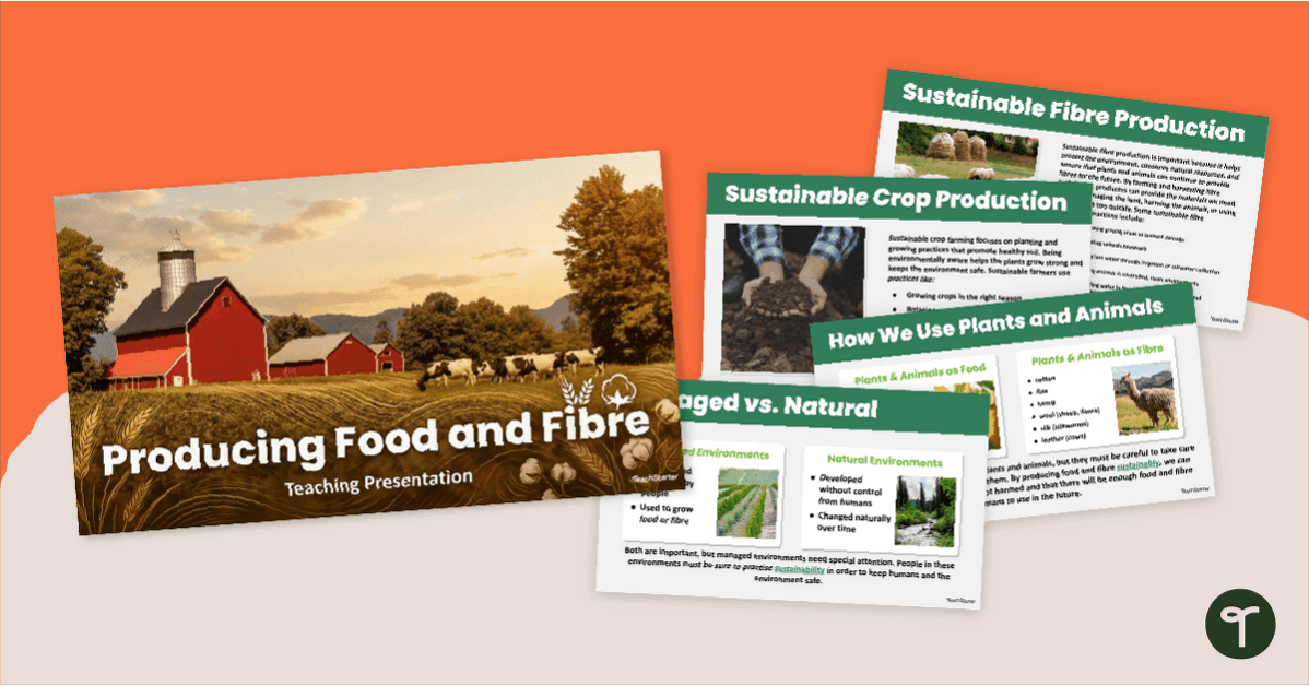 Producing Food and Fibre PowerPoint Presentation teaching resource