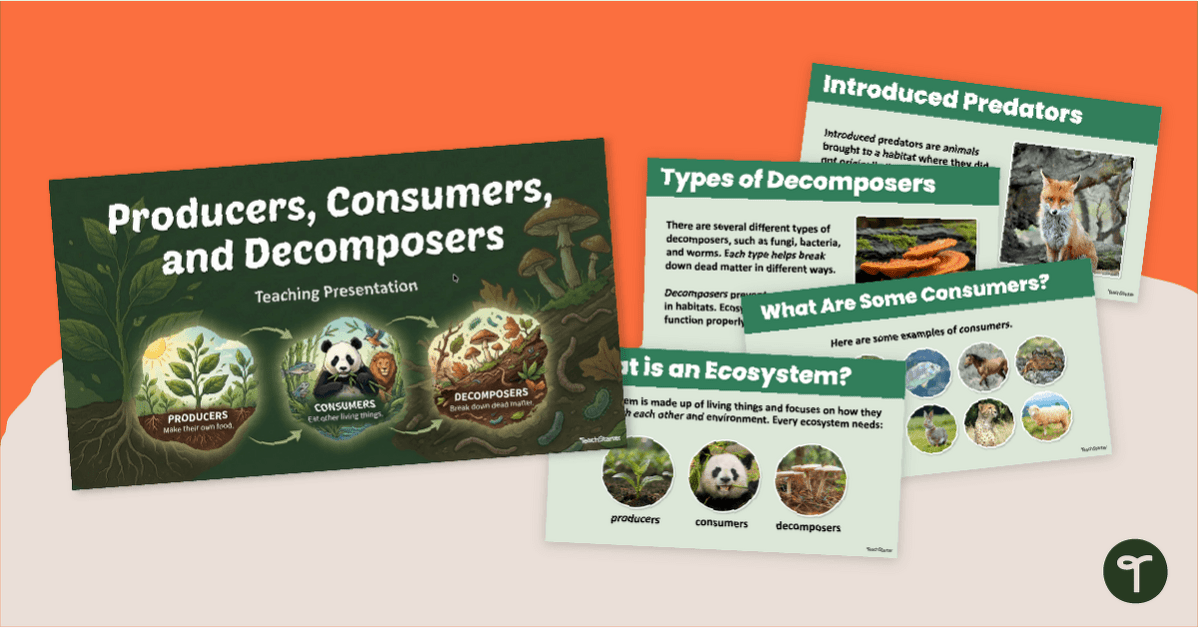 Producers, Consumers, and Decomposers PowerPoint teaching resource