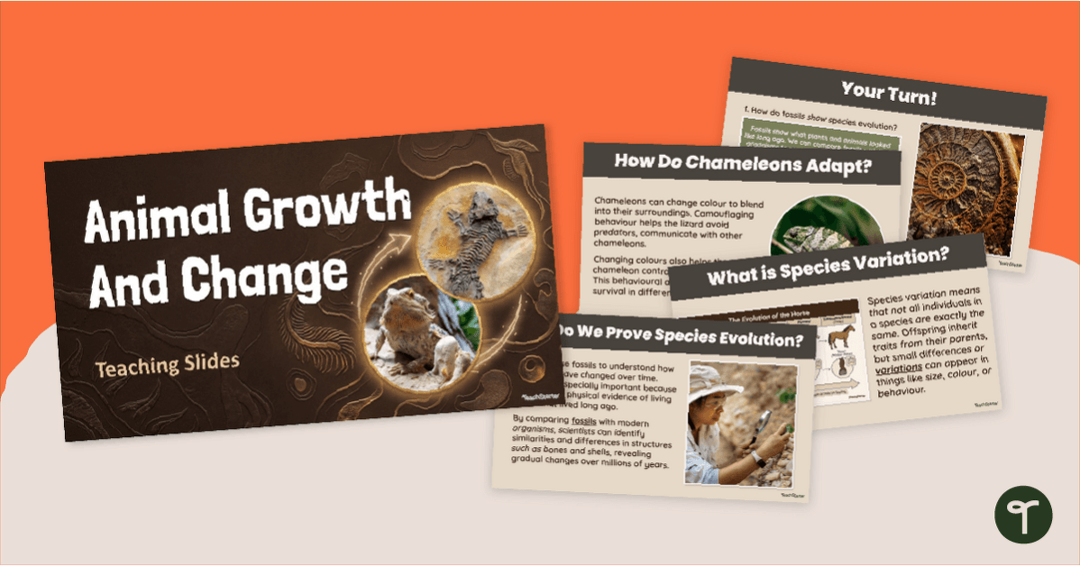 Animal Growth and Species Evolution PowerPoint teaching resource