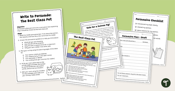 Go to Persuasive Writing Assessment Pack Year 2 teaching resource