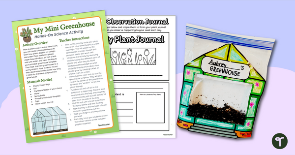 Go to Growing Bean Plant Seeds — Greenhouse Template teaching resource