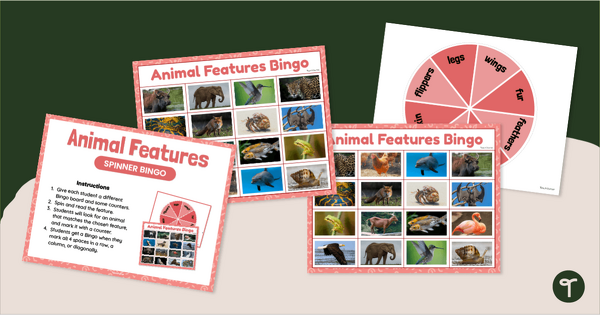 Go to Features of Animals Bingo Game (F-2) teaching resource