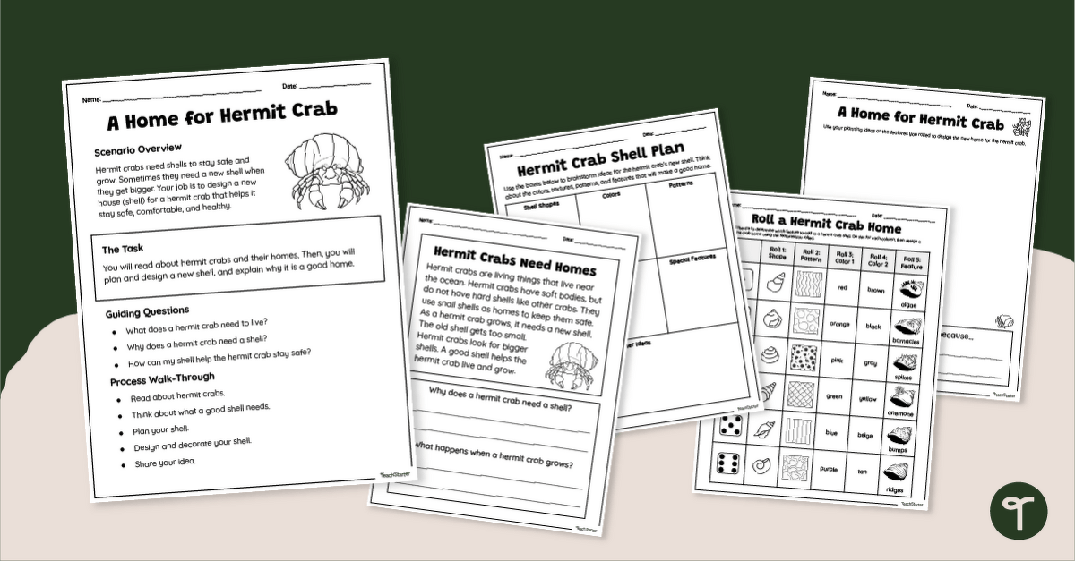 A House for Hermit Crab Activity Pack teaching resource