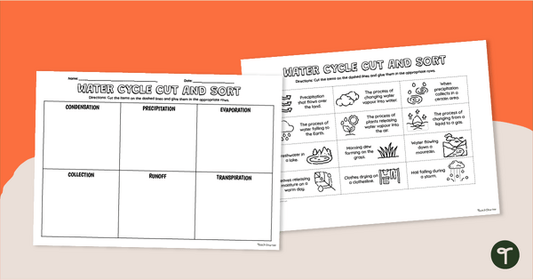 Go to Water Cycle Cut and Sort Activity teaching resource