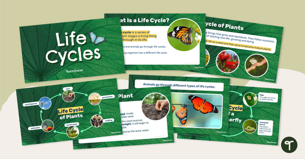 Go to Life Cycles PowerPoint teaching resource