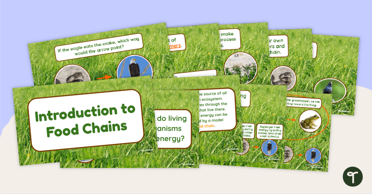 Introduction to Food Chains PowerPoint teaching resource