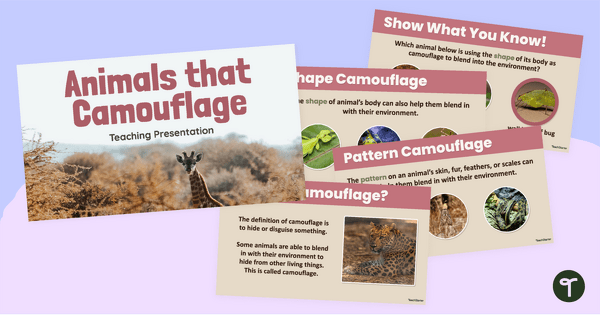 Go to Animals that Camouflage PowerPoint teaching resource