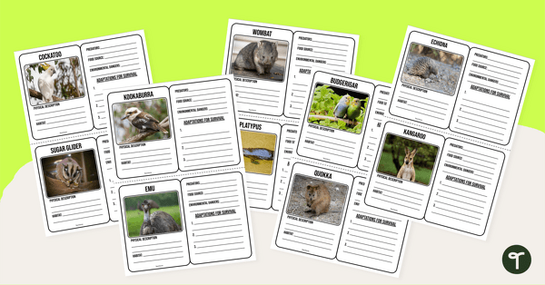 Go to Australian Animal Adaptations Trading Cards – Forest Biome teaching resource