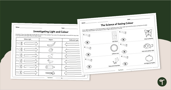 Go to The Science of Seeing Colour Worksheet Pack teaching resource