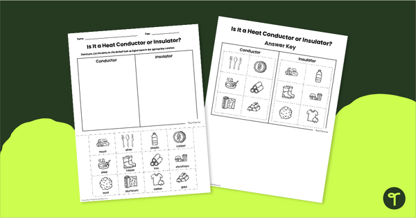 Go to Thermal Conductor or Insulator? Worksheet teaching resource