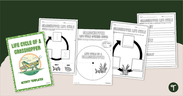 Go to Life Cycle of a Grasshopper Worksheet Pack teaching resource