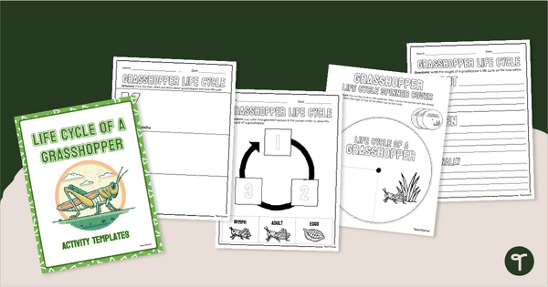 Go to Life Cycle of a Grasshopper Worksheet Pack teaching resource