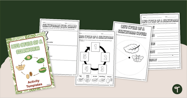 Go to Silkworm Life Cycle Worksheet Pack teaching resource