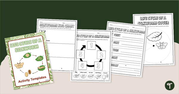 Go to Silkworm Life Cycle Worksheet Pack teaching resource