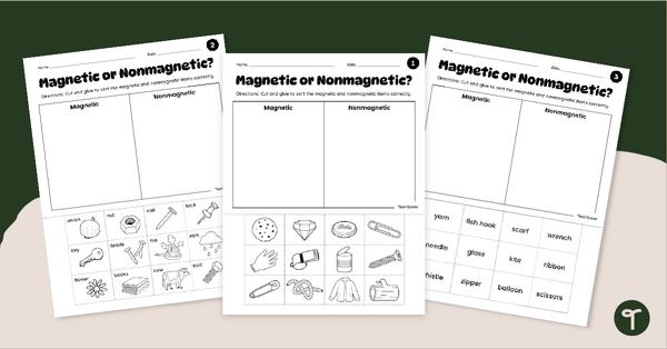 Go to Magnetic or Not? Cut and Paste Magnet Worksheet Pack teaching resource