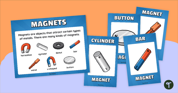 Go to Types of Magnets Anchor Chart Pack teaching resource
