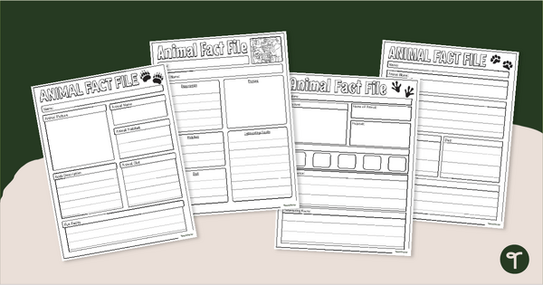 Go to Animal Fact File Template Pack teaching resource