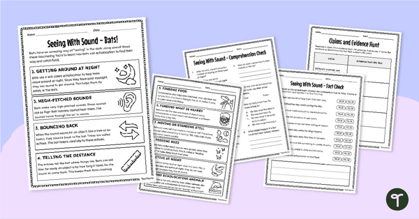 Go to Bats and Echolocation Worksheets - Comprehension teaching resource