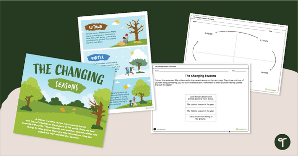 Go to The Changing Seasons – Worksheet teaching resource